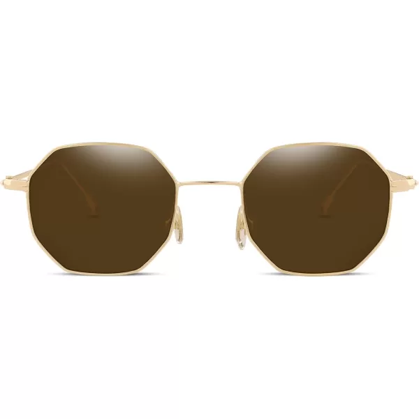 FEISEDY Hipster Small Polygon Women Men Sunglasses Delicate Metal Frame B2254Golden Frame Brown Lens