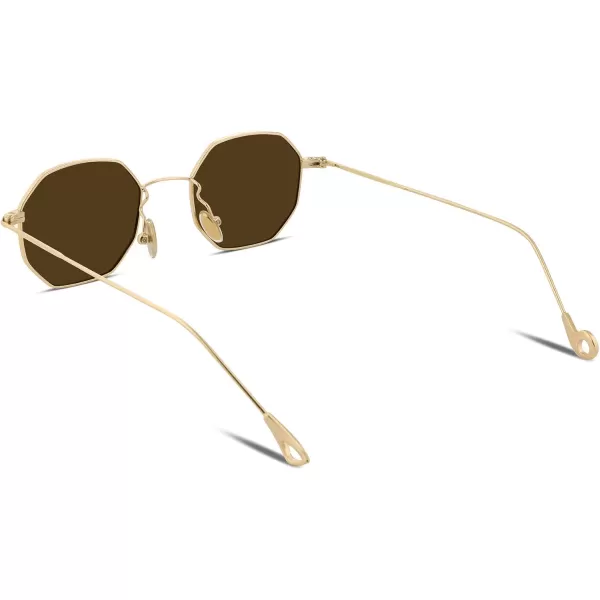 FEISEDY Hipster Small Polygon Women Men Sunglasses Delicate Metal Frame B2254Golden Frame Brown Lens