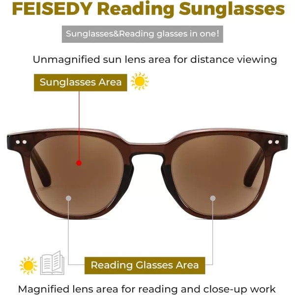 FEISEDY Round Reading Sunglasses for Men and Women Stylish Glasses with Readers B0113Clear Tea Frame Tea Lenses