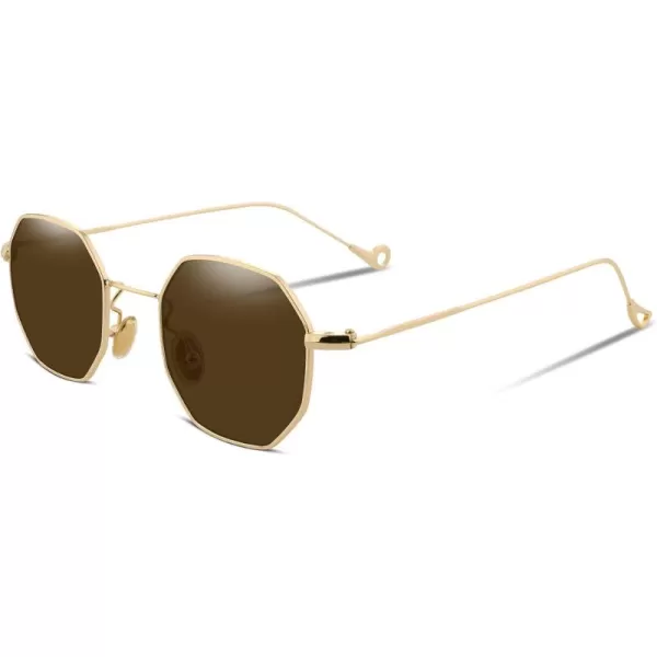 FEISEDY Hipster Small Polygon Women Men Sunglasses Delicate Metal Frame B2254Golden Frame Brown Lens