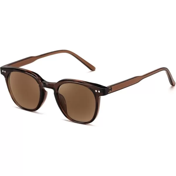 FEISEDY Round Reading Sunglasses for Men and Women Stylish Glasses with Readers B0113Clear Tea Frame Tea Lenses