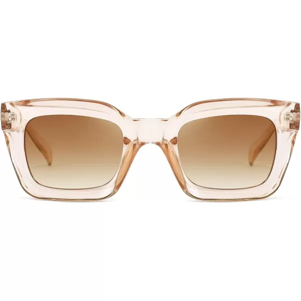 FEISEDY Classic Women Sunglasses Fashion Thick Square Sun Glasses Chunky Frame UV400 B2471Champagne Brown Lenses