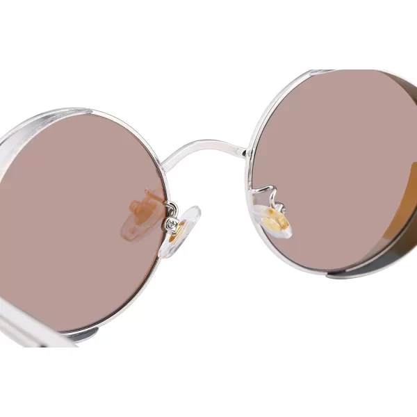 FEISEDY Retro Gothic Steampunk Sunglasses Round Metal Frame Punk Circle Inspired Shade Men B1857GoldPink