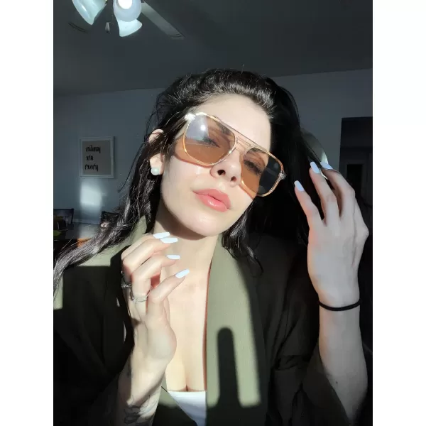 FEISEDY Retro Square Aviator Sunglasses Women Men 70s Vintage Trendy Plastic Frame Sun Glasses B2835003 Brown Transparent FrameBrown Lens