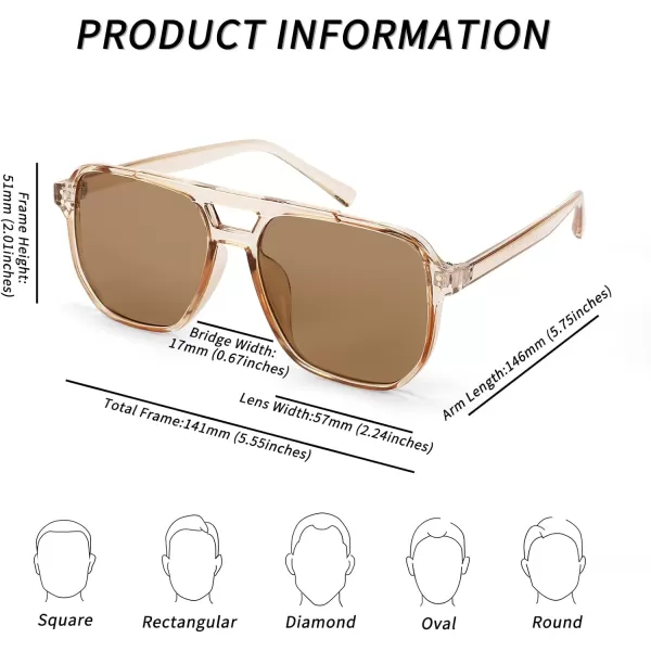 FEISEDY Retro Square Aviator Sunglasses Women Men 70s Vintage Trendy Plastic Frame Sun Glasses B2835003 Brown Transparent FrameBrown Lens