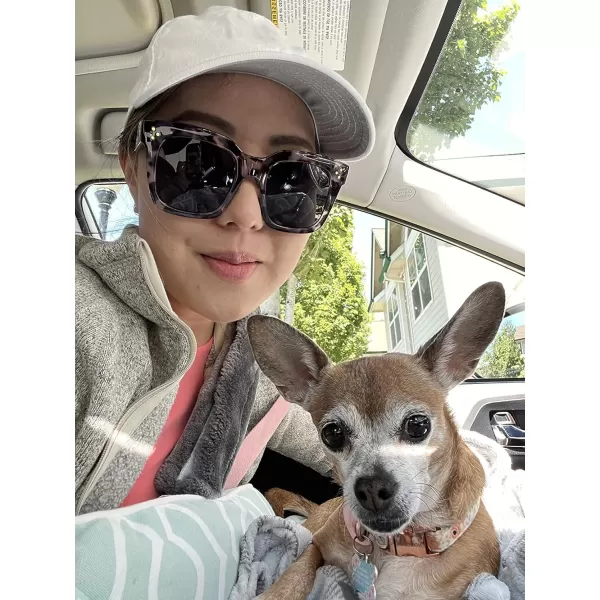 FEISEDY Vintage Women Butterfly Sunglasses Designer Luxury Square Gradient Sun Glasses Shades B2486Grey Leopard Camo
