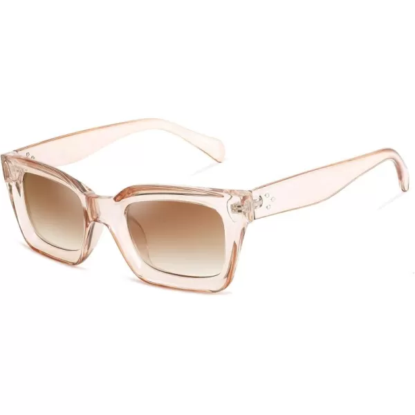 FEISEDY Classic Women Sunglasses Fashion Thick Square Sun Glasses Chunky Frame UV400 B2471Champagne Brown Lenses