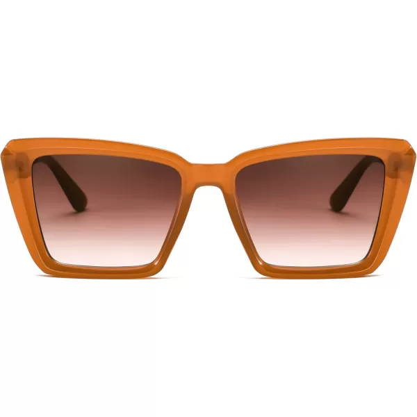 FEISEDY Trendy Cat Eye Women Sunglasses Retro Womens Square Cateye Sun Glasses B9135Tea