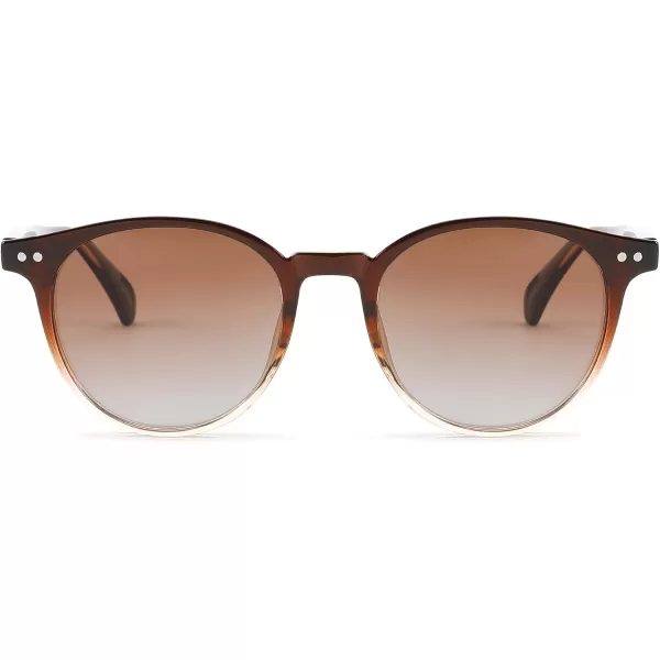 FEISEDY Retro Round Polarized Sunglasses Women Men Trending Shades Fashion Circle Sun Glasses B2808004 Blacktea Frame  Gradual Tea Lens