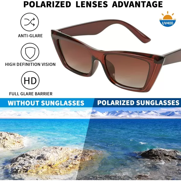 FEISEDY Small Cateye Square Polarized Sunglasses Women Classic Thick Rectangle Frame UV400 Sun Glasses B2736001 Jelly Dark Brown
