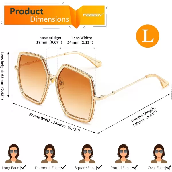 FEISEDY Women Large Hexagon Inspired Sunglasses Fashion Irregular Design Style Geometric B2503Clear Tea