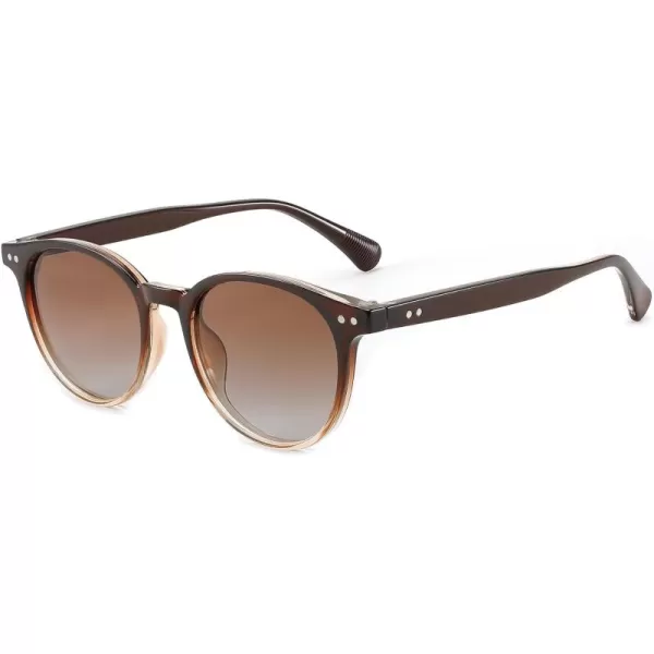 FEISEDY Retro Round Polarized Sunglasses Women Men Trending Shades Fashion Circle Sun Glasses B2808004 Blacktea Frame  Gradual Tea Lens