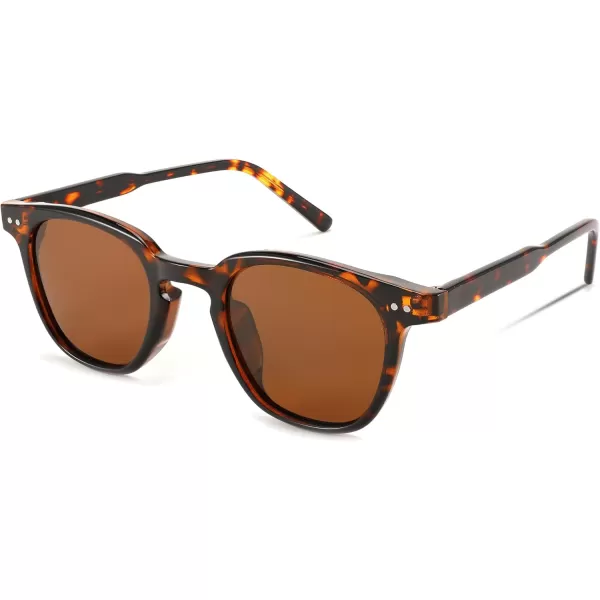 FEISEDY Classic Polarized Sunglasses Retro Round Sunglasses for Women Men Trendy Shades B0002002 Leopard FrameBrown Lens