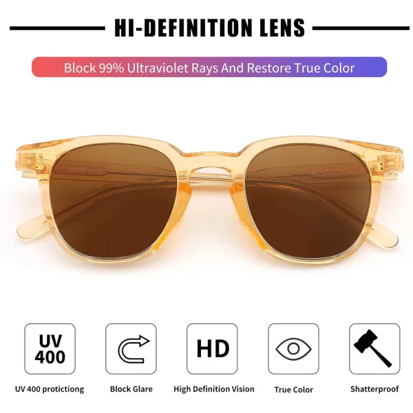FEISEDY Classic Polarized Sunglasses Retro Round Sunglasses for Women Men Trendy Shades B0002003 Champagne FrameBrown Lens