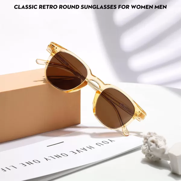 FEISEDY Classic Polarized Sunglasses Retro Round Sunglasses for Women Men Trendy Shades B0002003 Champagne FrameBrown Lens