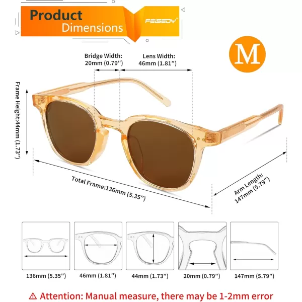 FEISEDY Classic Polarized Sunglasses Retro Round Sunglasses for Women Men Trendy Shades B0002003 Champagne FrameBrown Lens