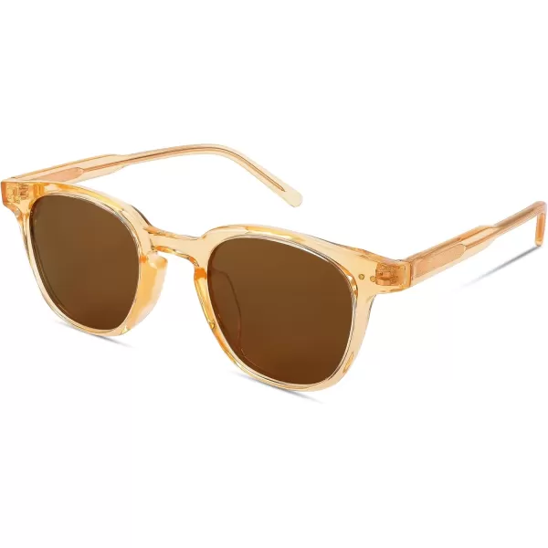 FEISEDY Classic Polarized Sunglasses Retro Round Sunglasses for Women Men Trendy Shades B0002003 Champagne FrameBrown Lens