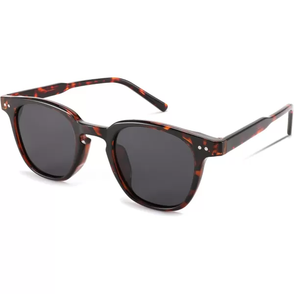 FEISEDY Classic Polarized Sunglasses Retro Round Sunglasses for Women Men Trendy Shades B0002005 Leopard FrameGray Lens