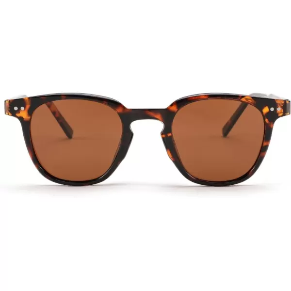 FEISEDY Classic Polarized Sunglasses Retro Round Sunglasses for Women Men Trendy Shades B0002002 Leopard FrameBrown Lens