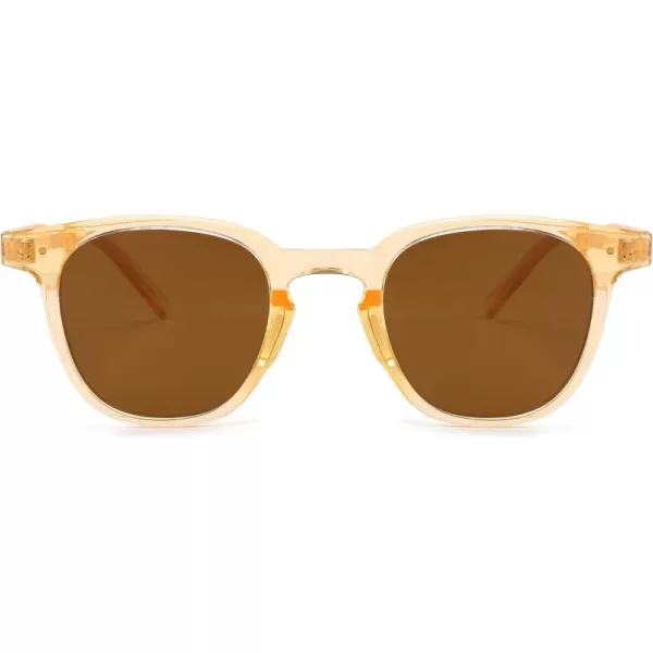 FEISEDY Classic Polarized Sunglasses Retro Round Sunglasses for Women Men Trendy Shades B0002003 Champagne FrameBrown Lens