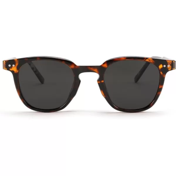 FEISEDY Classic Polarized Sunglasses Retro Round Sunglasses for Women Men Trendy Shades B0002005 Leopard FrameGray Lens