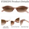 imageFEISEDY Retro Oval Cat Eye Sunglasses for Women 90s Narrow Lightweight Shades Y2k Trendy Sunnies B0257ChampagneGradient Tea