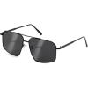 Black Framed and Black Gray Lens