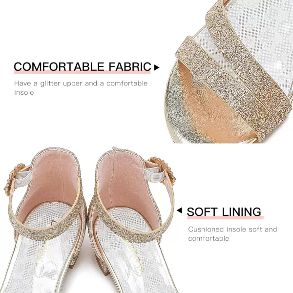 Dufannie Girls Sandals Low Heels Dress Pump Ankle Strap Open Toe Flower Girl Wedding Party for Toddler Little Big KidDouble Shimmer Gold
