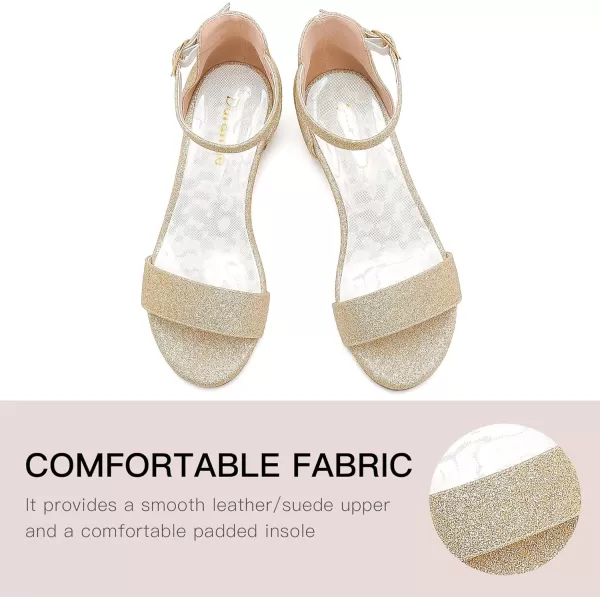 Dufannie Girls Sandals Low Heels Dress Pump Ankle Strap Open Toe Flower Girl Wedding Party for Toddler Little Big KidSingle Shimmer Gold
