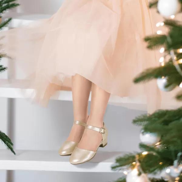 Hehainom Girls Dress Shoes Toddler Closed Toe Flower Girl Heels for Party Wedding Princess ShoesD Gold Pu