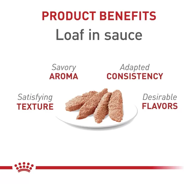 Royal Canin Adult Instinctive Thin Slices in Gravy Wet Cat Food 3 oz can 6pack51 Ounce Pack of 24