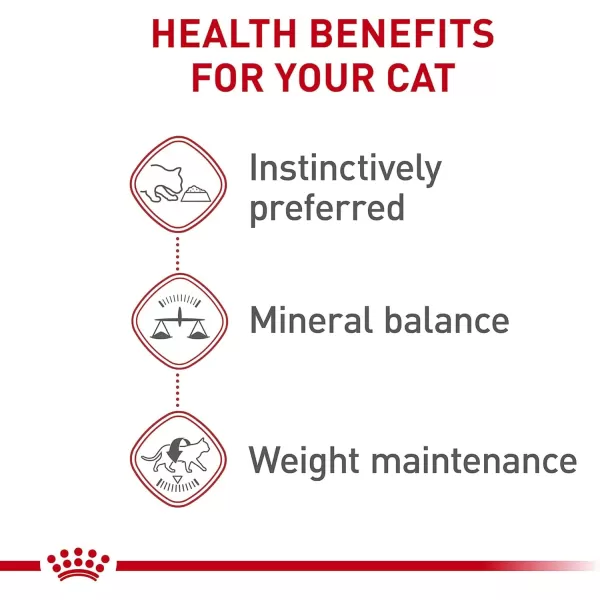 Royal Canin Adult Instinctive Thin Slices in Gravy Wet Cat Food 3 oz can 6pack51 Ounce Pack of 24