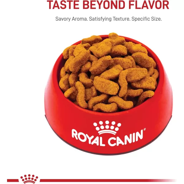 Royal Canin Bulldog Puppy Dry Dog Food 30 lb bag17 Pound Pack of 1