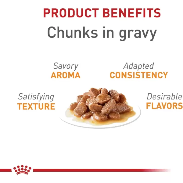 Royal Canin Feline Care Nutrition Hair ampamp Skin Care Thin Slices in Gravy Canned Cat Food 3 Ounce Pack of 243 Ounce Pack of 12