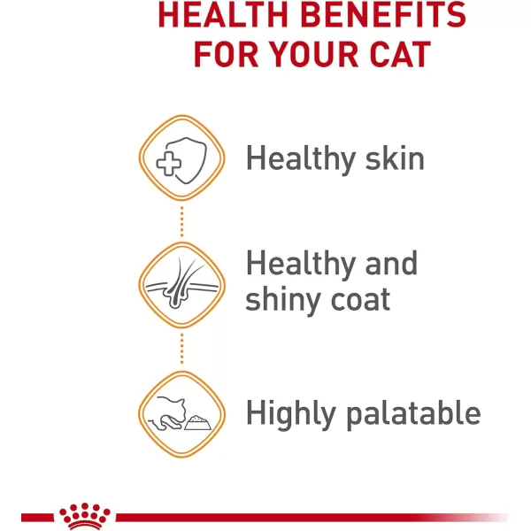 Royal Canin Feline Care Nutrition Hair ampamp Skin Care Thin Slices in Gravy Canned Cat Food 3 Ounce Pack of 243 Ounce Pack of 12