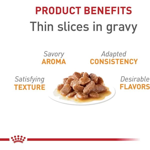 Royal Canin Feline Care Nutrition Hair ampamp Skin Care Thin Slices in Gravy Canned Cat Food 3 Ounce Pack of 243 Ounce Pack of 24