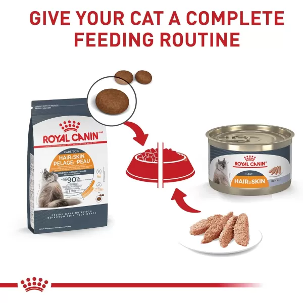 Royal Canin Feline Care Nutrition Hair ampamp Skin Care Thin Slices in Gravy Canned Cat Food 3 Ounce Pack of 2451 Ounce Pack of 24
