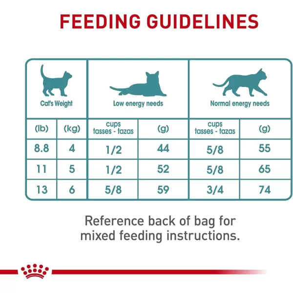 Royal Canin Hairball Care Dry Cat Food 6 lb bag6 Pound Pack of 1