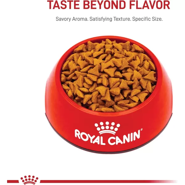 Royal Canin Hairball Care Dry Cat Food 6 lb bag6 Pound Pack of 1