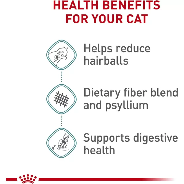 Royal Canin Hairball Care Dry Cat Food 6 lb bag6 Pound Pack of 1