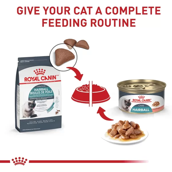 Royal Canin Hairball Care Thin Slices In Gravy Wet Cat Food 3 oz can 12count3 Ounce Pack of 24