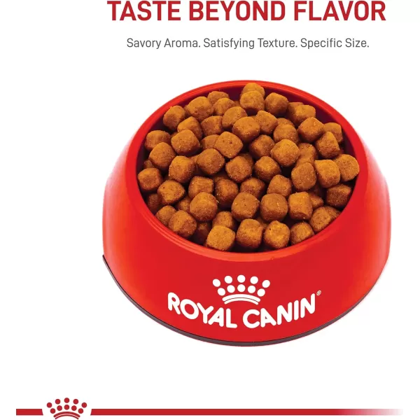 Royal Canin Maine Coon Breed Thin Slices in Gravy Adult Wet Cat Food 3 oz can 4pack6 Pound Pack of 1