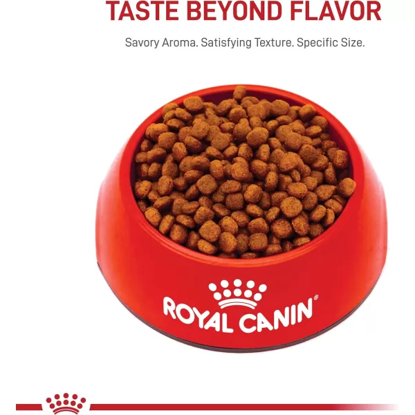 Royal Canin Cavalier King Charles Puppy Dry Dog Food 3 lb bag