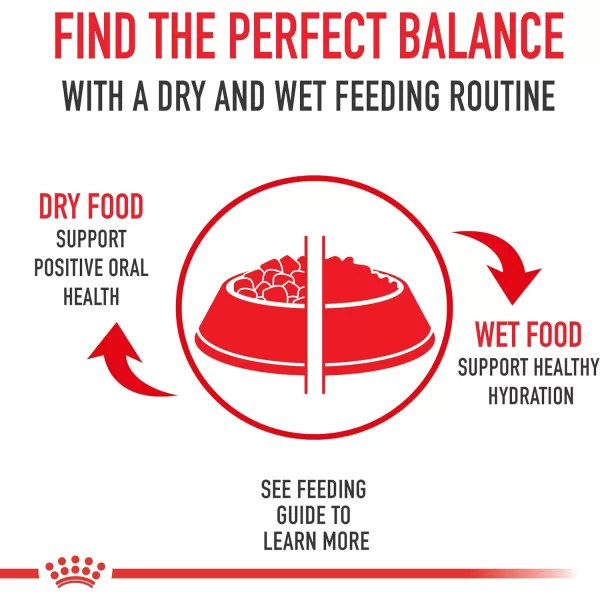 Royal Canin Feline Health Nutrition Kitten Dry Cat Food 35 lb bag
