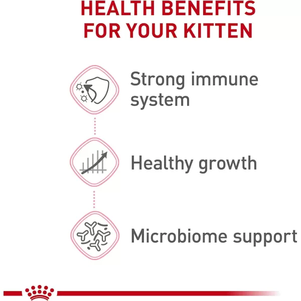 Royal Canin Feline Health Nutrition Kitten Dry Cat Food 7 lb bag1 Count Pack of 1