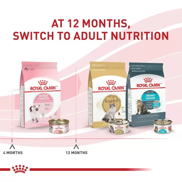 Royal Canin Feline Health Nutrition Kitten Thin Slices in Gravy Canned Cat Food 3 oz can 12countOriginal