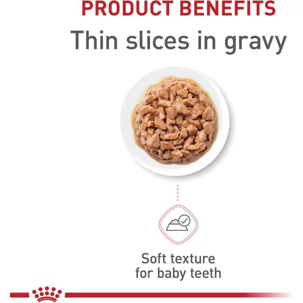 Royal Canin Feline Health Nutrition Kitten Thin Slices in Gravy Canned Cat Food 3 oz can 12countOriginal