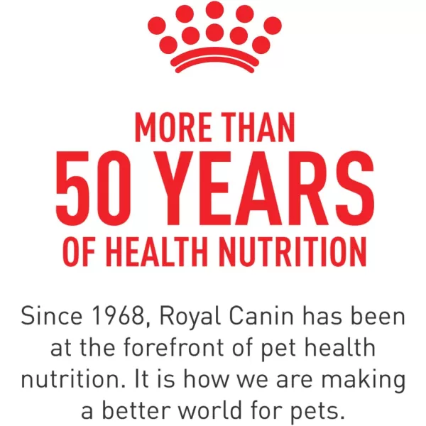 Royal Canin Feline Health Nutrition Kitten Thin Slices in Gravy Canned Cat Food 3 oz can 12countOriginal