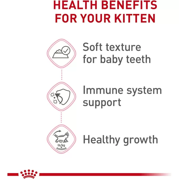 Royal Canin Feline Health Nutrition Kitten Thin Slices in Gravy Canned Cat Food 3 oz can 24count51 Ounce Pack of 24