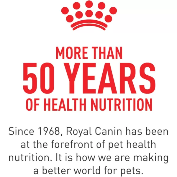 Royal Canin Feline Health Nutrition Kitten Thin Slices in Gravy Canned Cat Food 3 oz can 24count51 Ounce Pack of 24